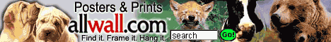 In Association with allwall.com