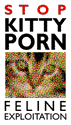 Stop Kitty Porn